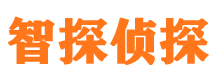 谢家集出轨调查